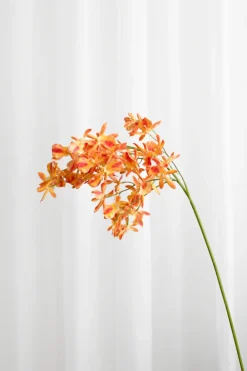 Specktrum Artificial Flowers - Amber Stem orchid