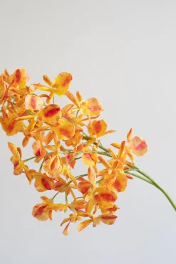 Specktrum Artificial Flowers - Amber Stem orchid