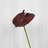 Specktrum Artificial Flowers - Burgundy Anthurium