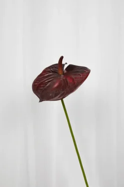 Specktrum Artificial Flowers - Burgundy Anthurium