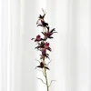 Specktrum Artificial Flowers - Burgundy Dendrobium