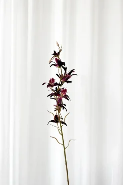 Specktrum Artificial Flowers - Burgundy Dendrobium