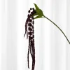 Specktrum Artificial Flowers - Burgundy Amaranthus Branch