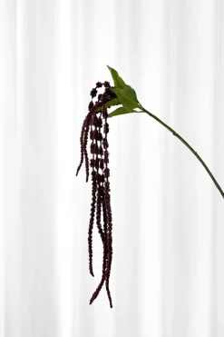Specktrum Artificial Flowers - Burgundy Amaranthus Branch
