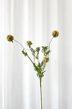 Specktrum Artificial Flowers - Dusty yellow Scabiosa Seed Pod (multible heads)