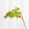 Specktrum Artificial Flowers - Green Orchid (21 heads)