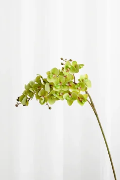 Specktrum Artificial Flowers - Green Orchid (21 heads)