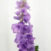 Specktrum Artificial Flowers - Purple Consolida