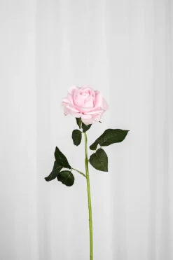 Specktrum Artificial Flowers - Rose Rose