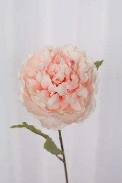 Specktrum Artificial Flowers - Rose Peony