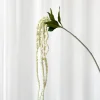 Specktrum Artificial Flowers - White Amaranthus Branch