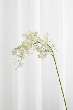 Specktrum Artificial Flowers - White Stem orchid