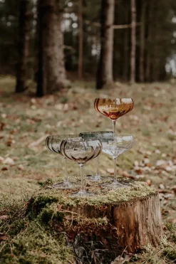 Specktrum Meadow Stemware - Clear Cocktail glass